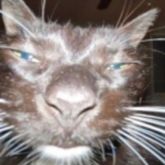 Meet your Posher, Hugh - Picture 1 of 1